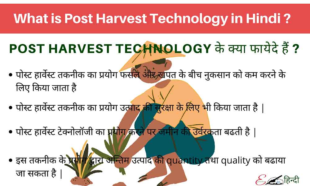 post-harvest-technology