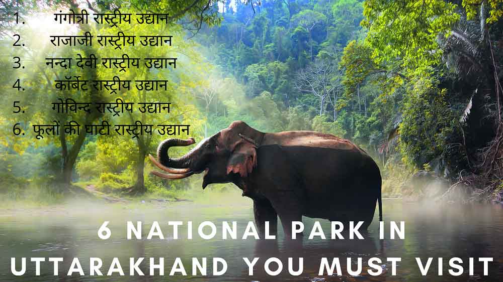6 National Park in Uttarakhand