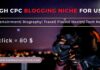 High CPC Blogging Niche For USA Hindi